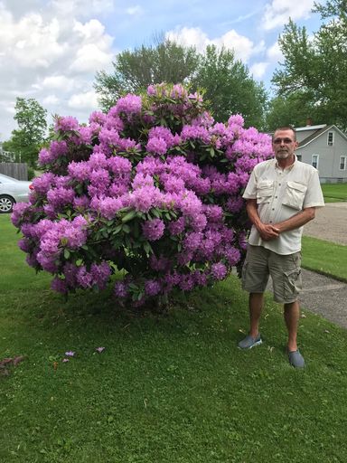 Willard R Woods photo gallery thumbnail 89 of 153