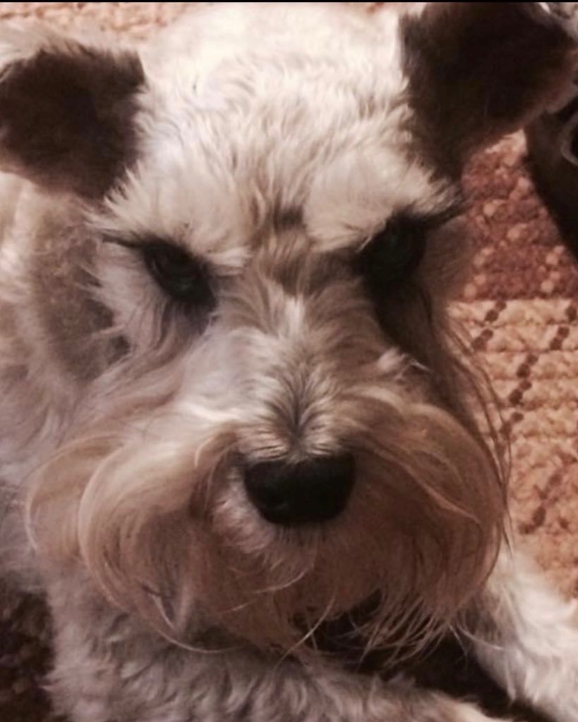 Smokey Hall Profile Photo