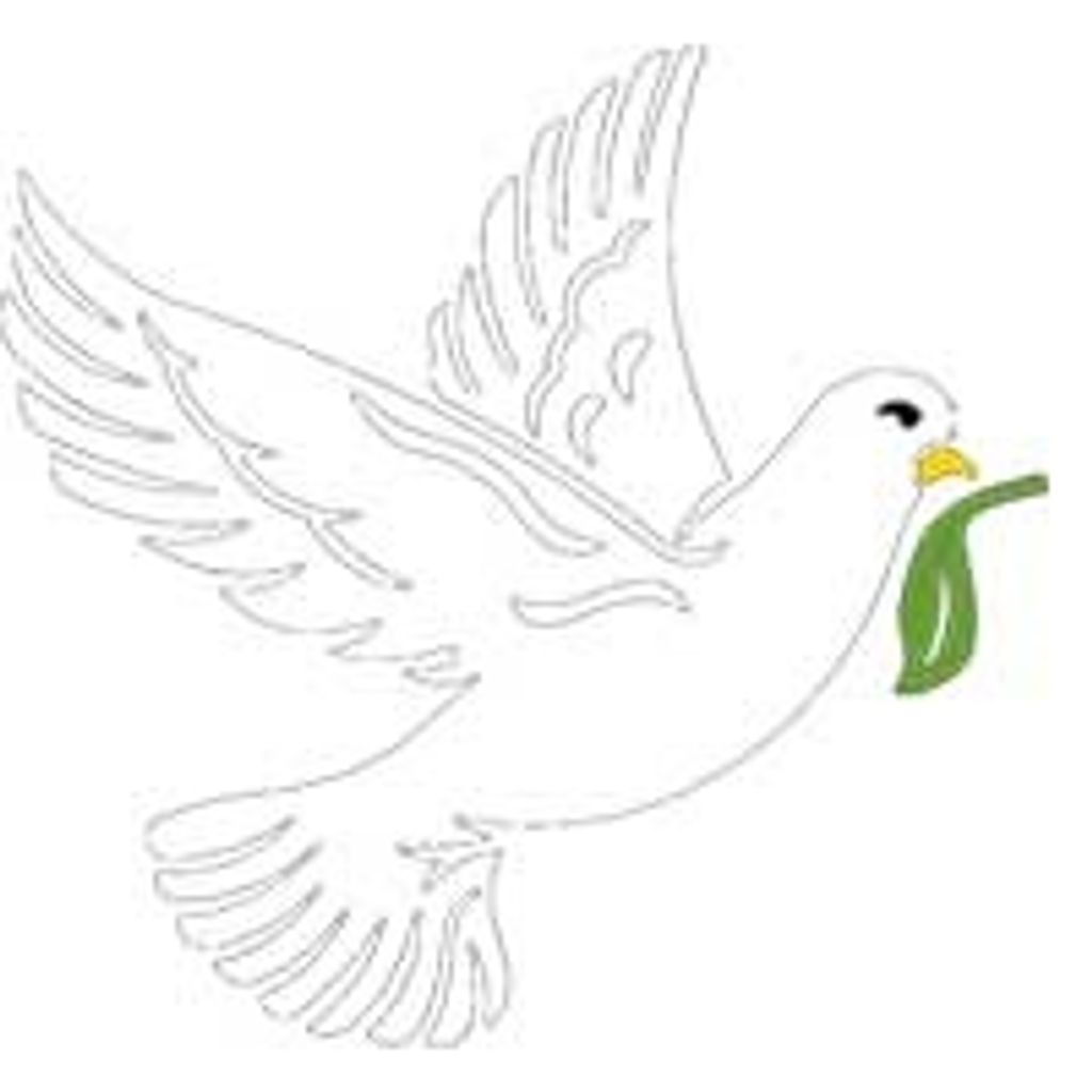 David Gordon Park Profile Photo