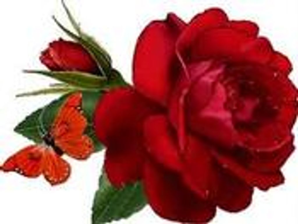 Charlotte Lee Mcbride