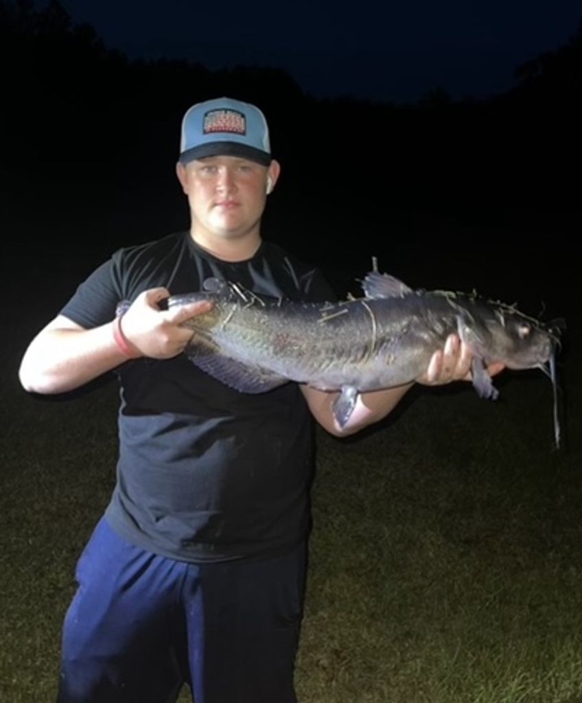 Lyston Jarman Profile Photo