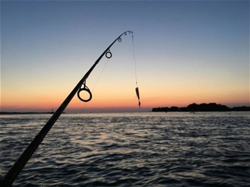 Jerry Eason Profile Photo