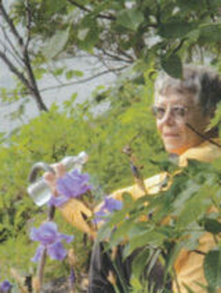 Rosemary Reiner