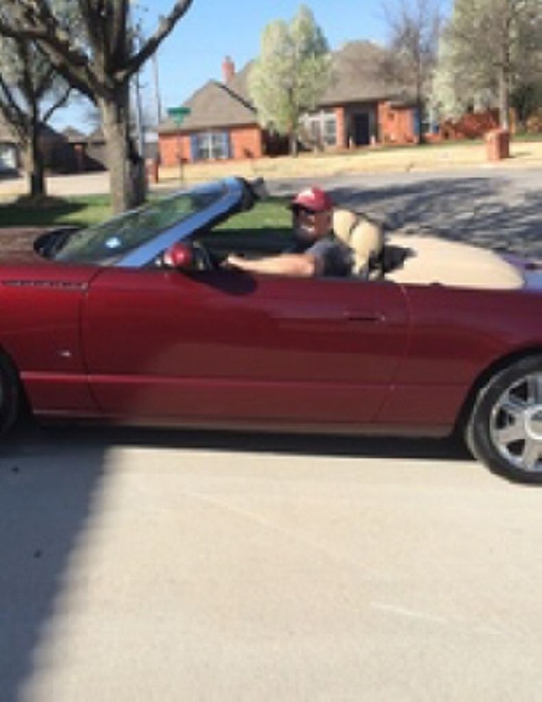 Steven Frederick Loflin