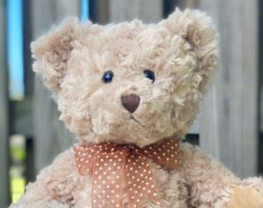 Zayd Matthew Peterson Profile Photo