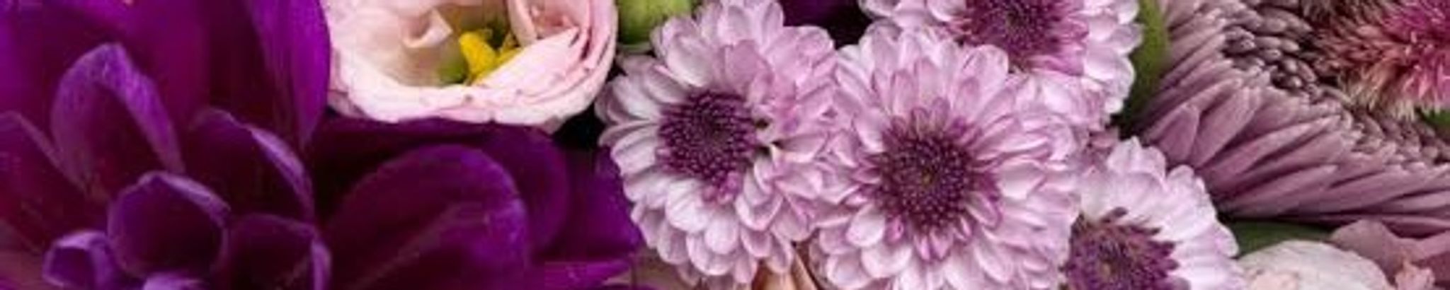 Cover for Deborah Williams's Obituary
