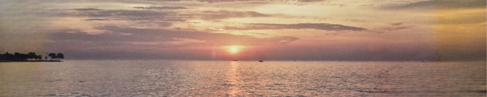 Cover for Peter M. Gould's Obituary