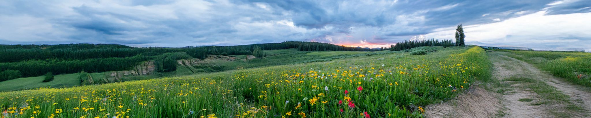 Cover for Linda Green's Obituary
