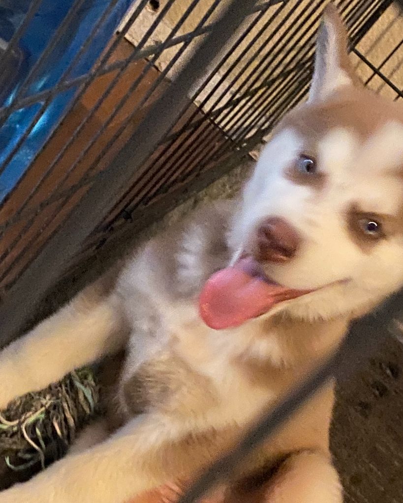 Kora 🖤 Profile Photo