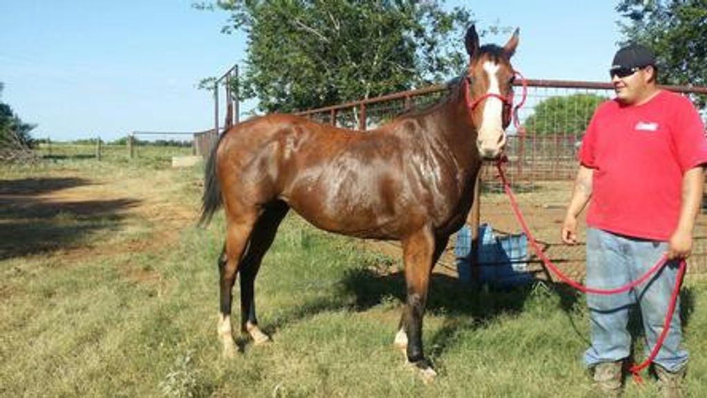 Manuel Perez Profile Photo