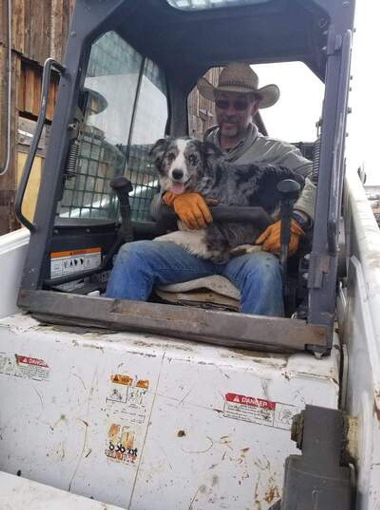 Quentin Joe Witzel Profile Photo