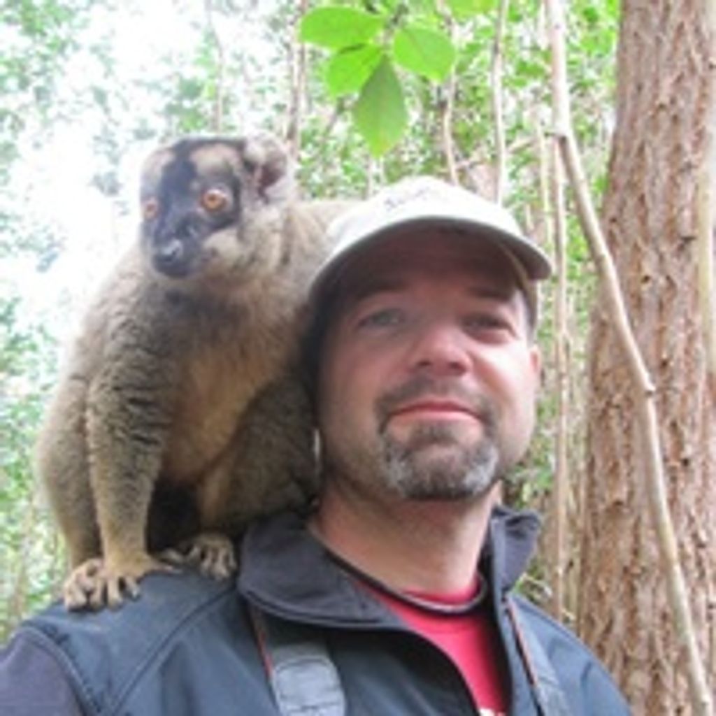 Stephen Bougor Profile Photo