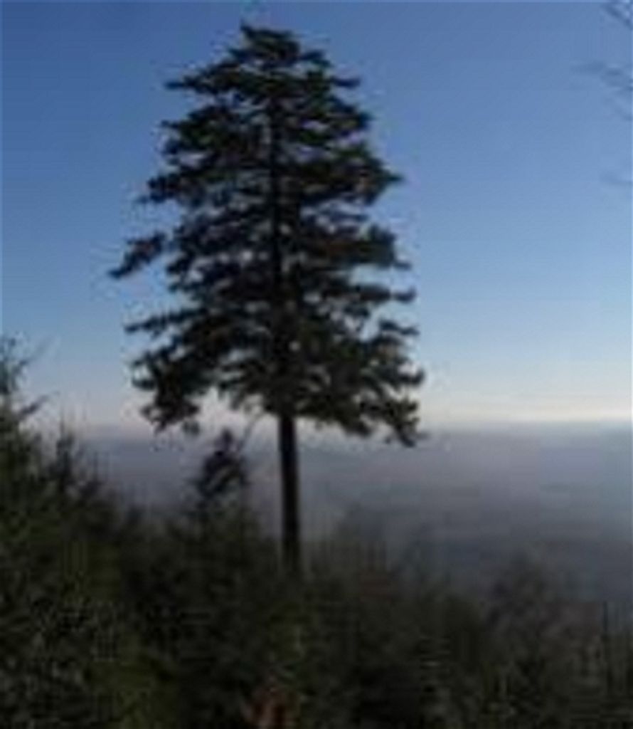 William Allen Miller