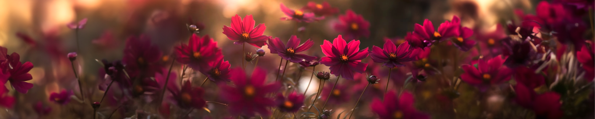 Cover photo for Amaryllis "Marla" Floy Bryan's Obituary
