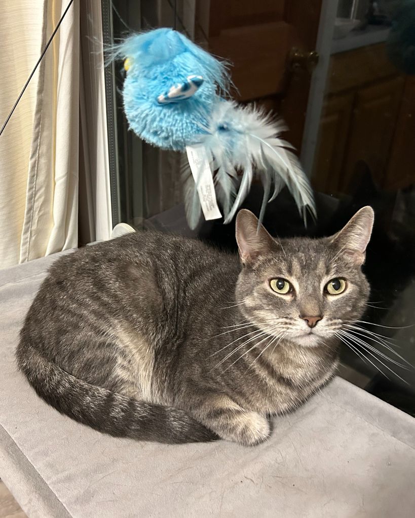 Buddy Winkers Profile Photo