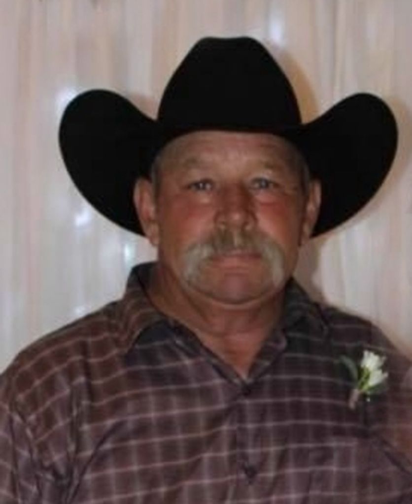 David Wayne Shawn Profile Photo