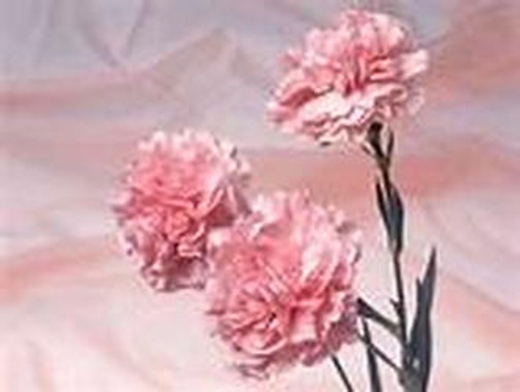 Beverley M. Jentzen Profile Photo