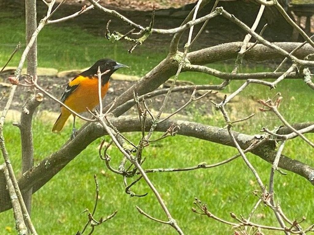 Charles Eugene Miner