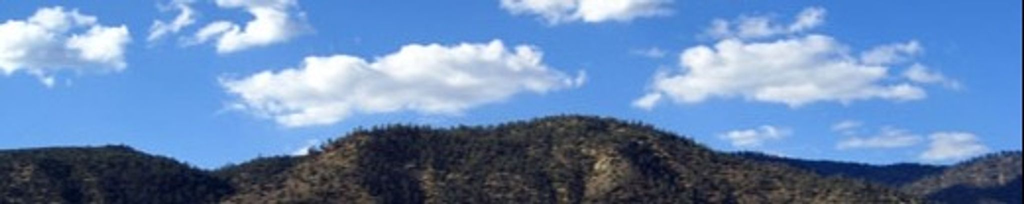 Cover photo for BERNICE ANNE TROJAHN's Obituary