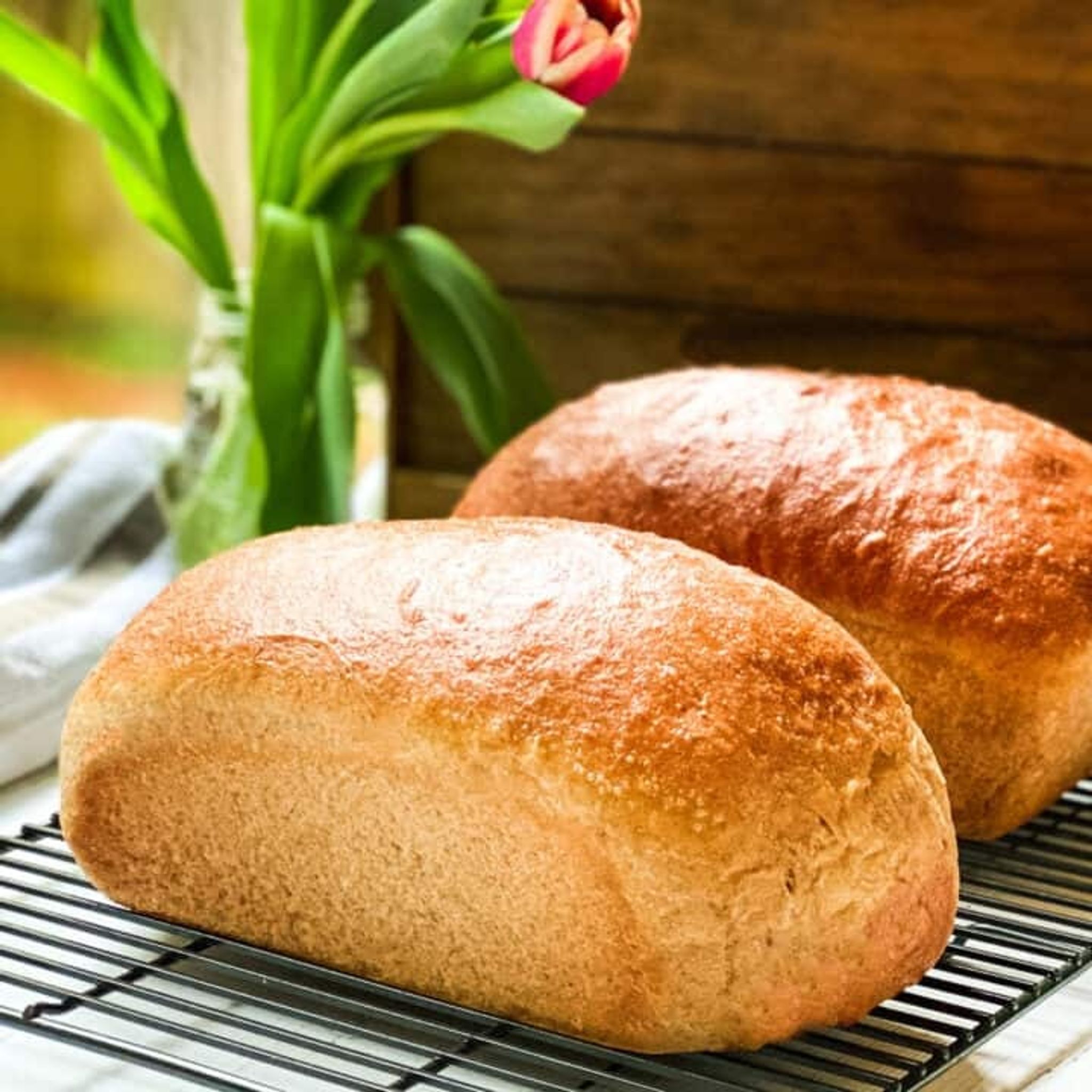 Cover for Wilfred "Sir K" Kelly I's Obituary