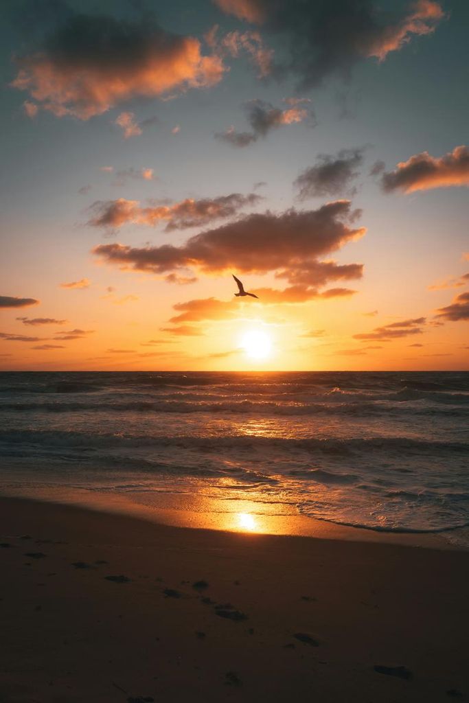 Ellen L Felker Profile Photo