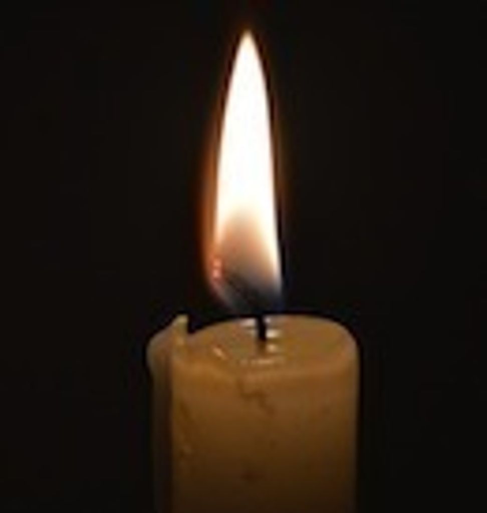 Donald Neal Ansaldo Jr