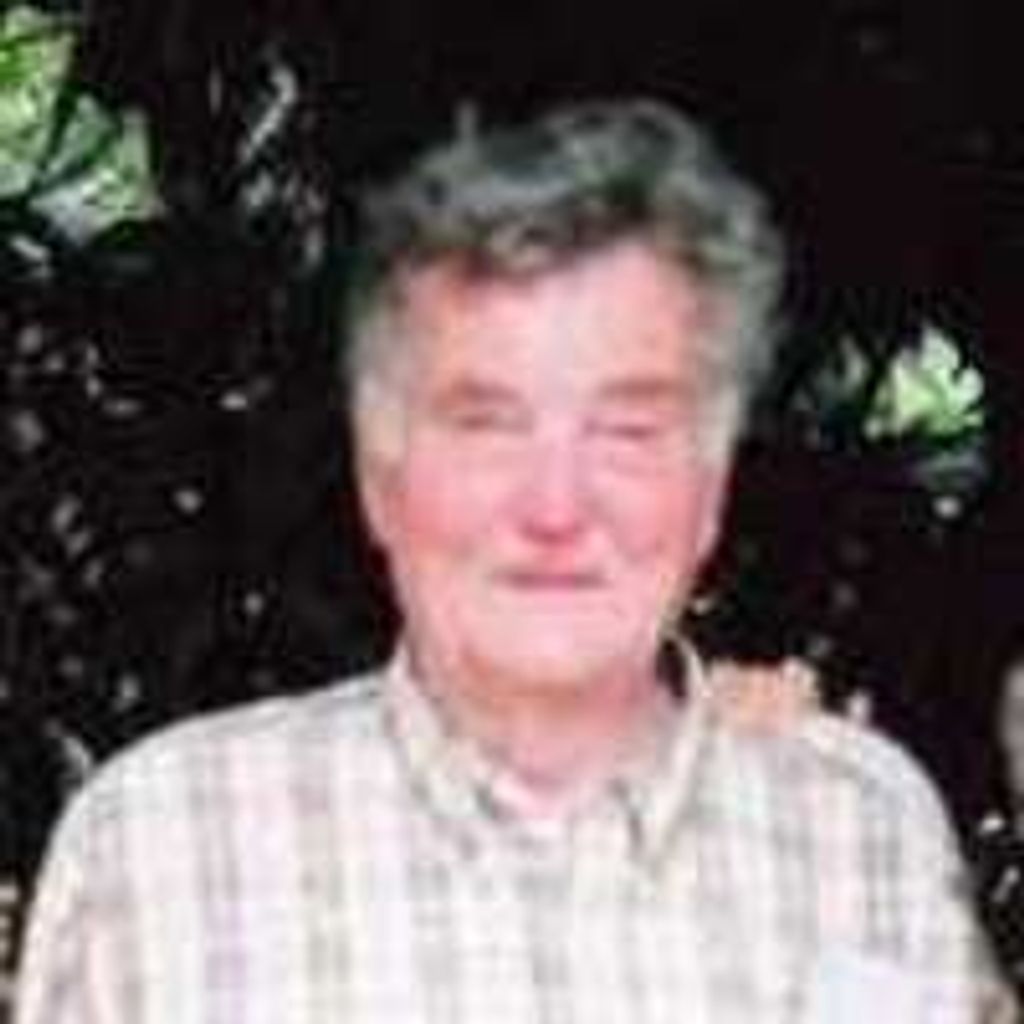 Aloysius "Al" William Verploegen Profile Photo