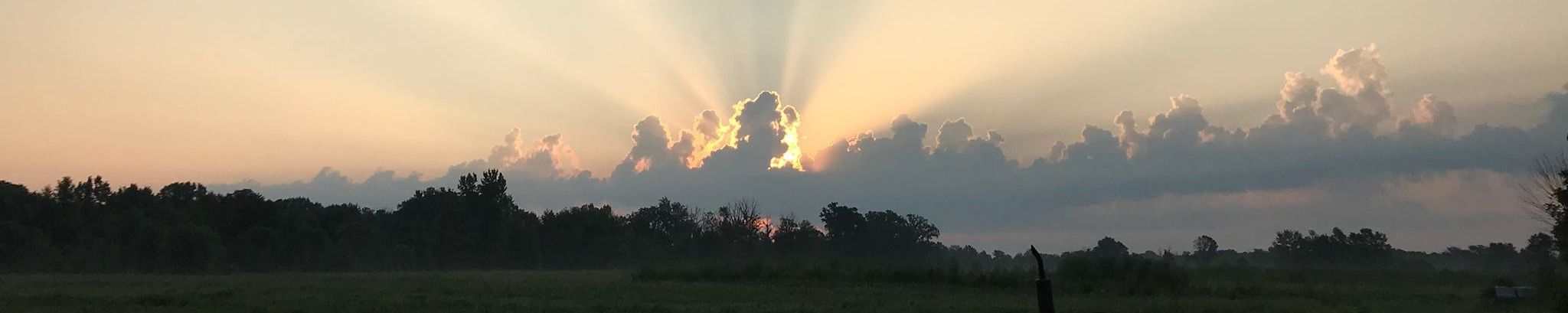 Cover for Jean Doran's Obituary