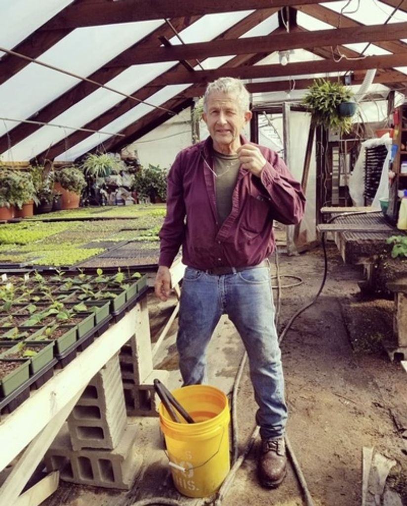 Mark Vickery Pearson