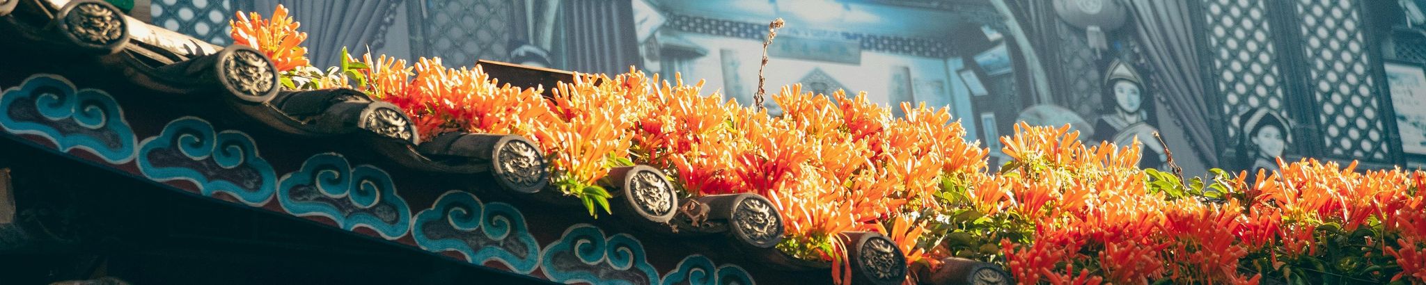 Cover photo for Caiping Sun's Obituary