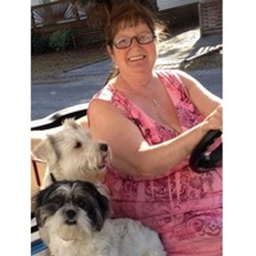 Sherry  Lea Corbett-Consalvi Profile Photo