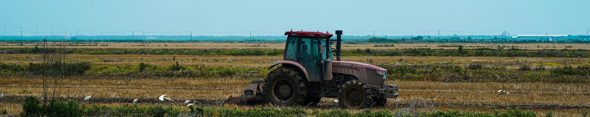 Cover for David Bestland's Obituary