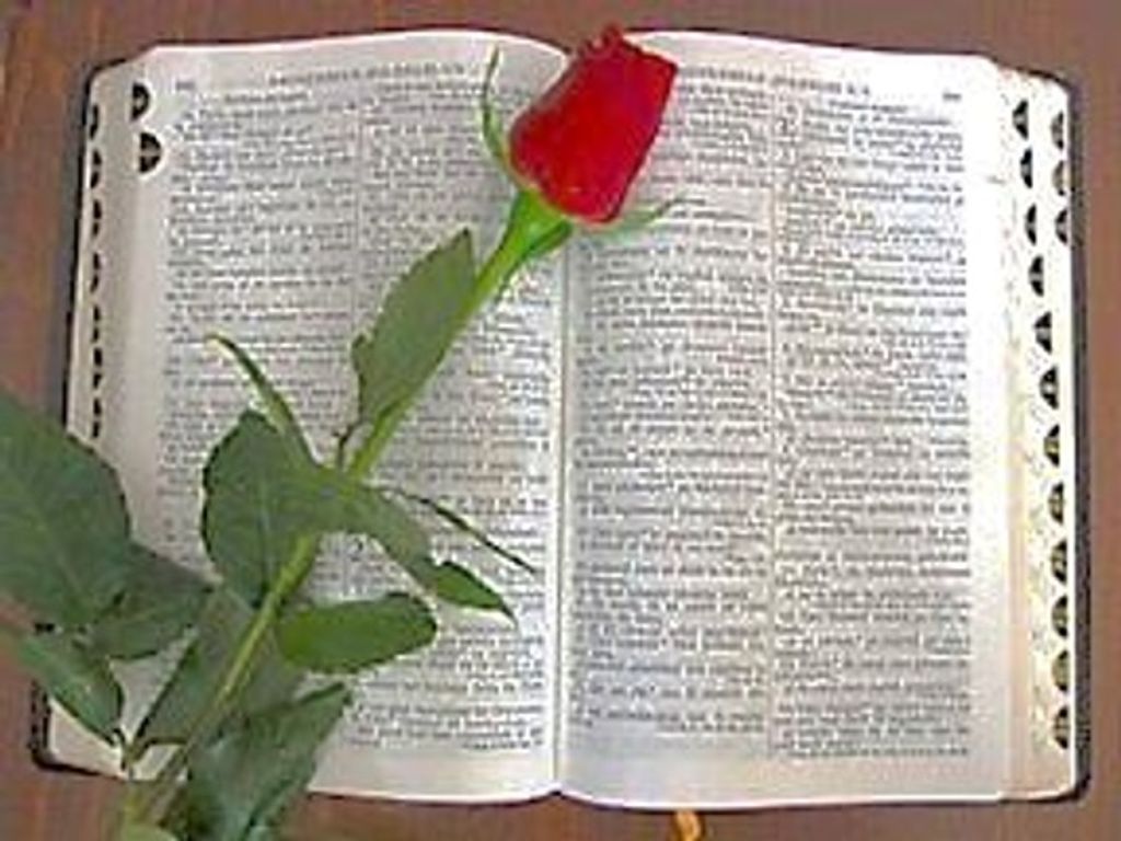 Edward P. Robertson Profile Photo