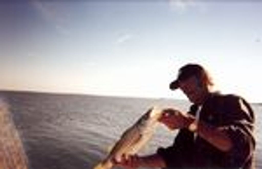 Marion Lloyd Driscoll