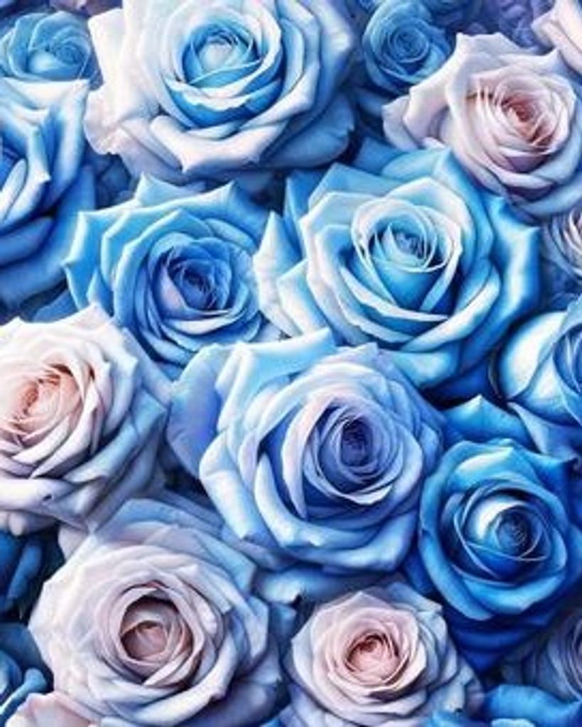 Daphne Schultz Profile Photo