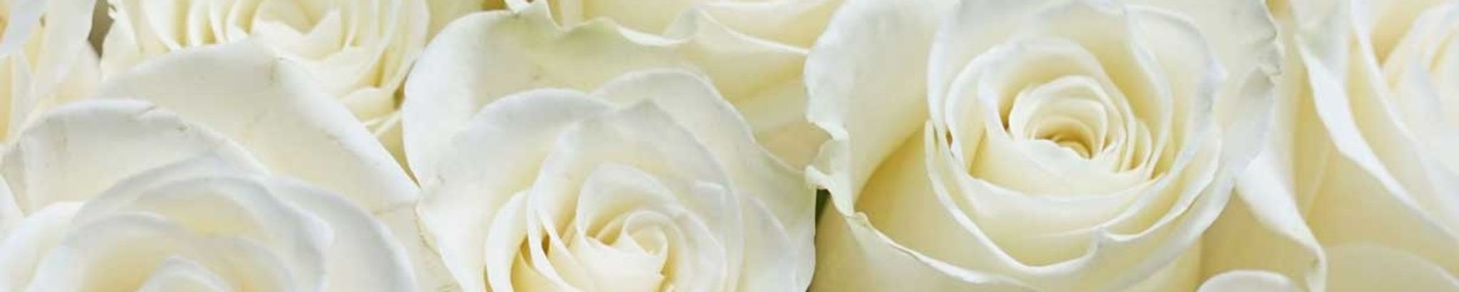 Cover for Clarine Rose Jefferson's Obituary