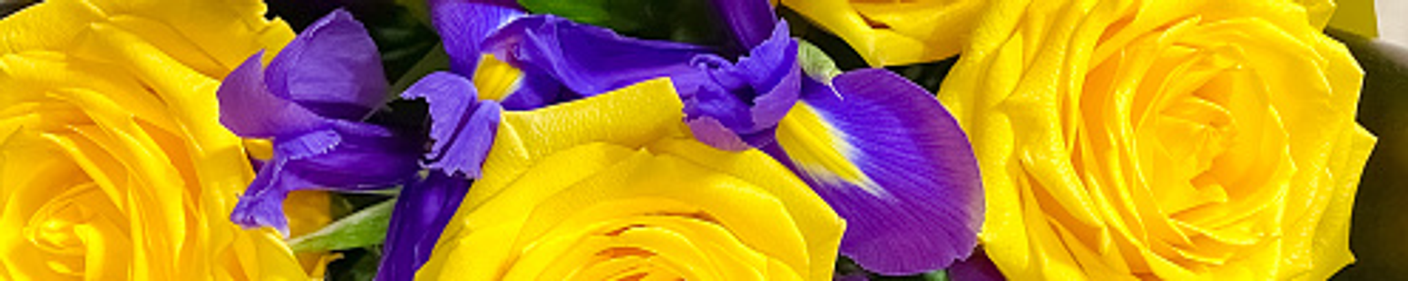 Cover for Louise M Logan's Obituary