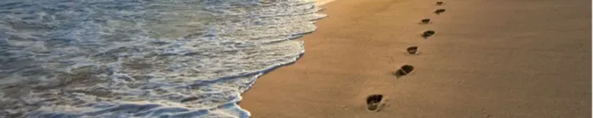 Cover for David Bell's Obituary