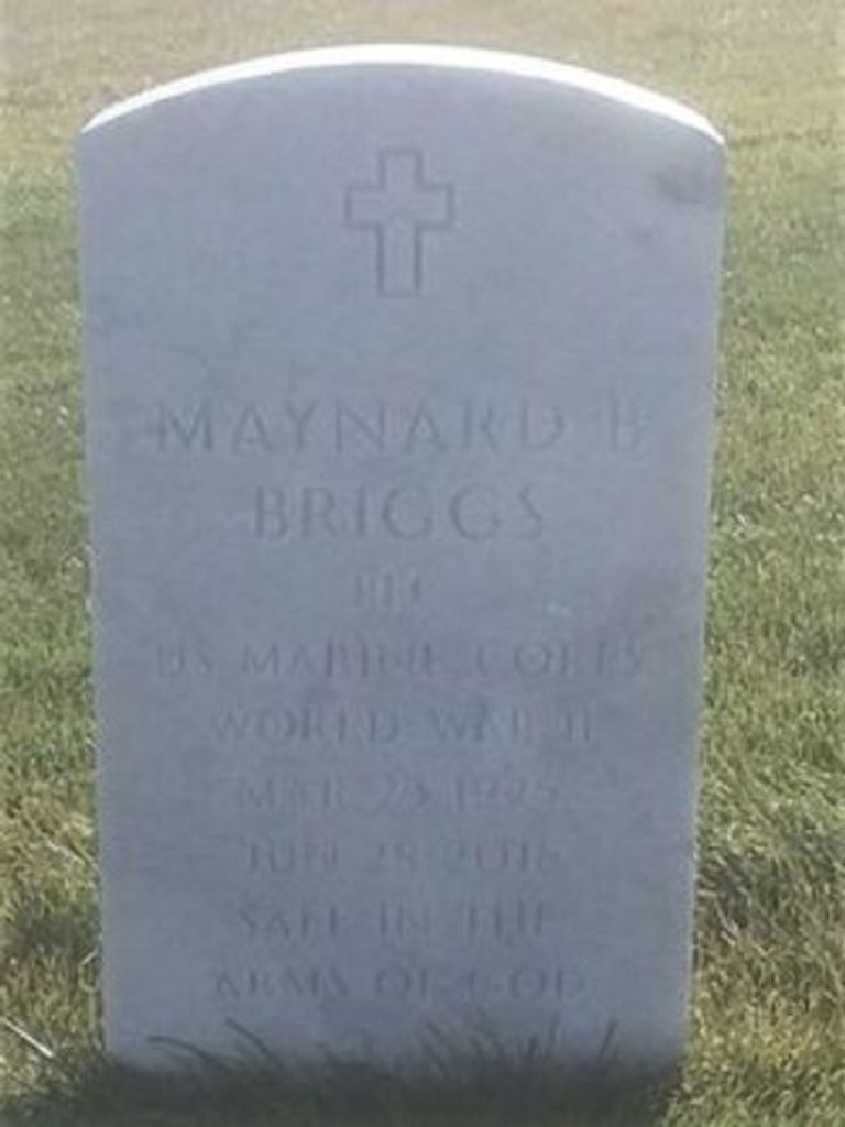 Maynard Bailey "Mike" Briggs
