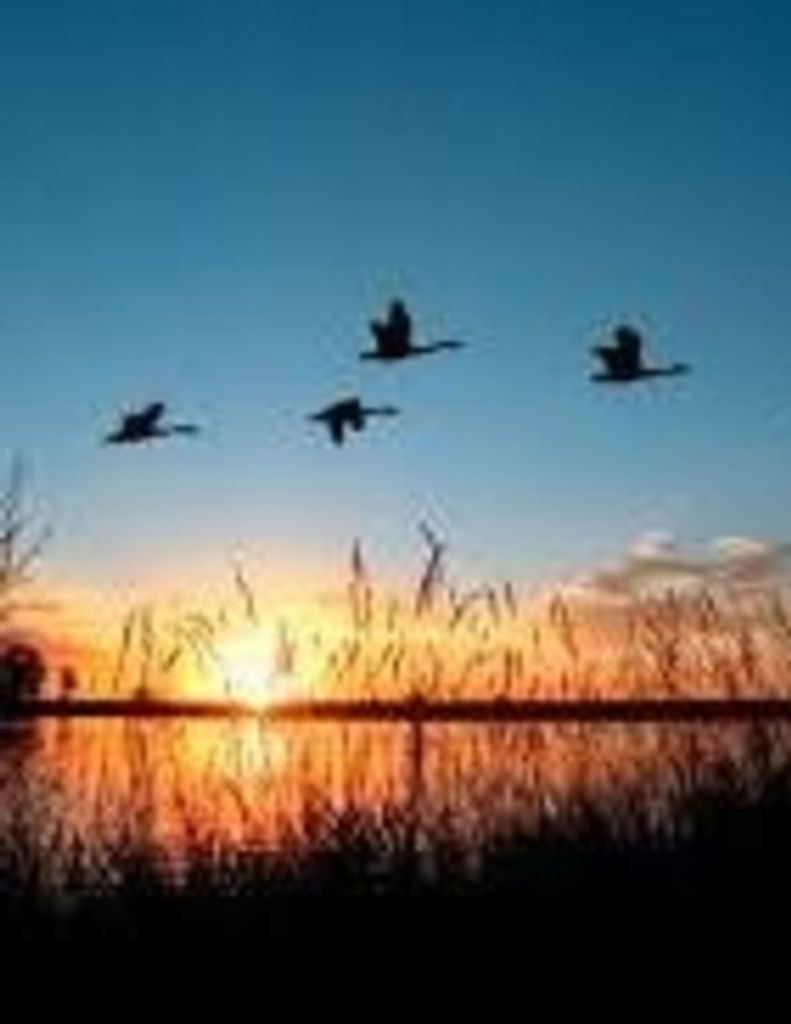 James D. "Jimmy" Oliver