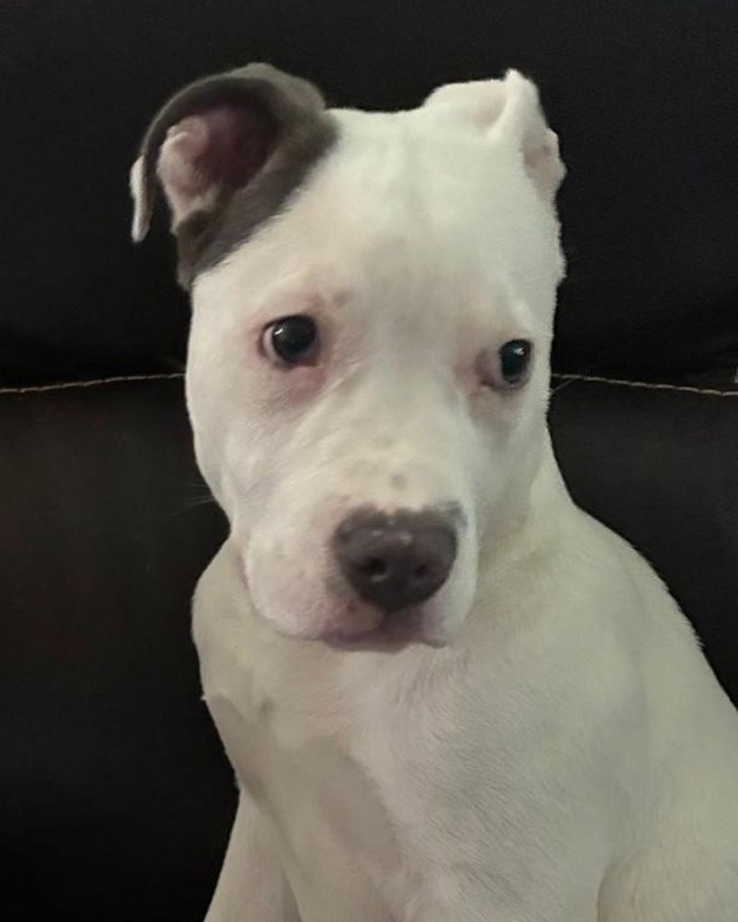 Nieve 🖤 Profile Photo