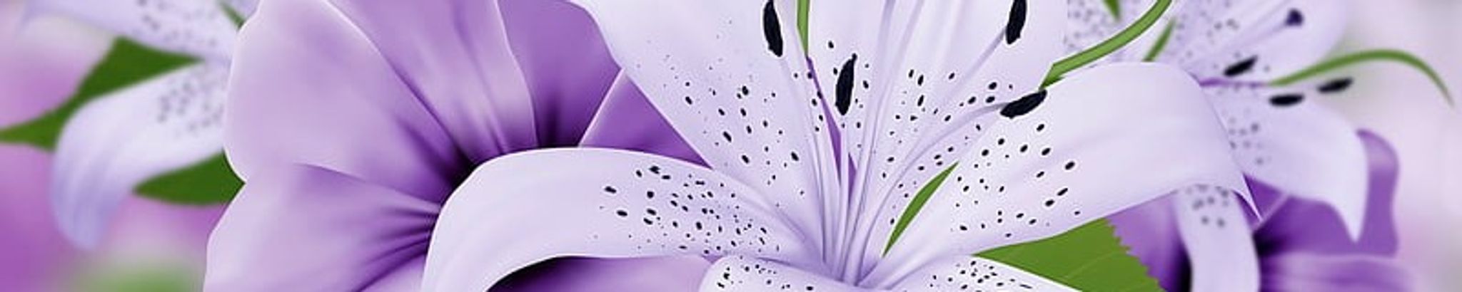 Cover photo for Mary Catherine Darling Barnes's Obituary