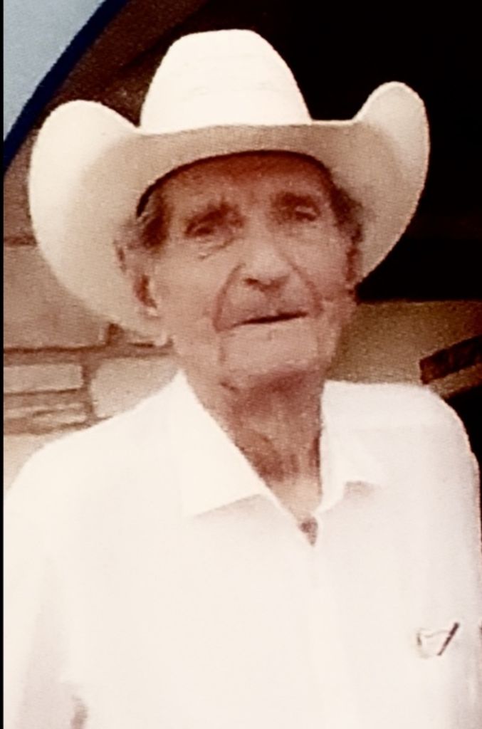 Wilfred Goertz