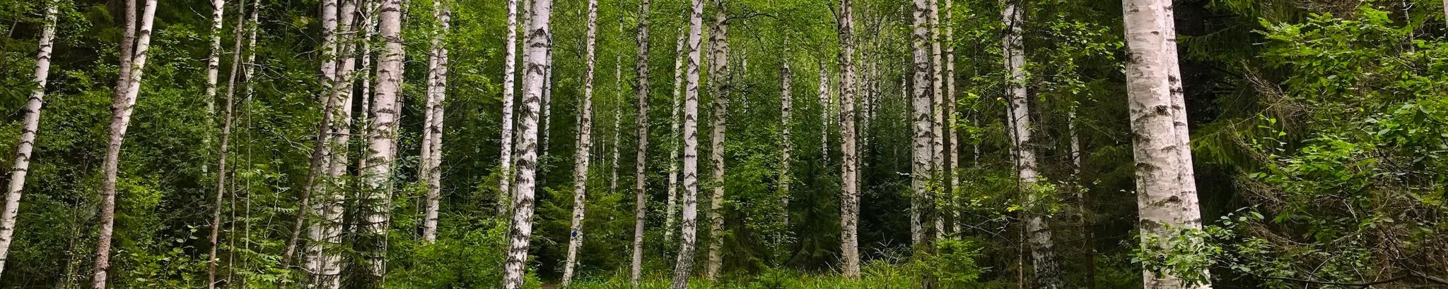 Cover for Irma Margareta Martin's Obituary