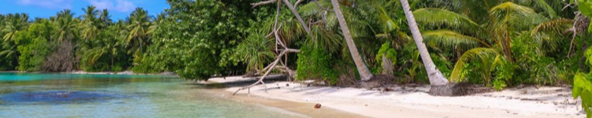 Cover photo for Feliuai Tinei's Obituary