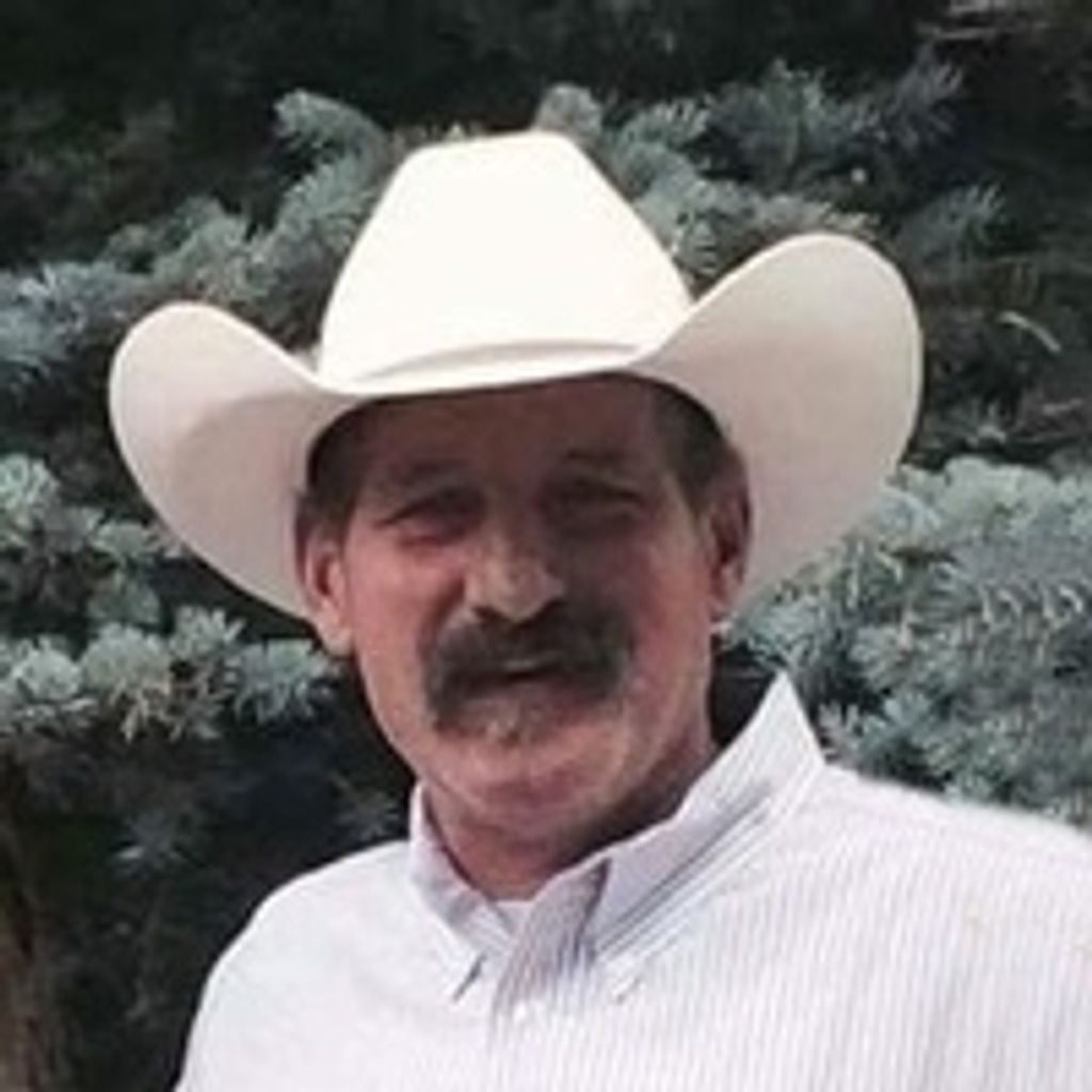 Tom JED Freeman Profile Photo