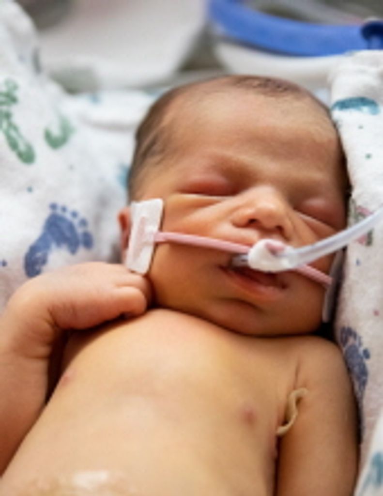 Harrison William Stein Profile Photo