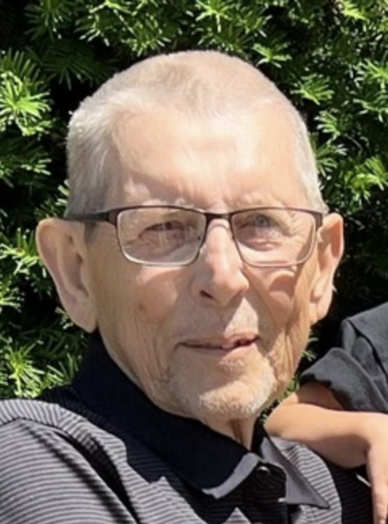 Stephen F. Hamilton Profile Photo