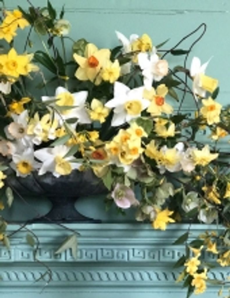 Spotswood Walker Box Profile Photo