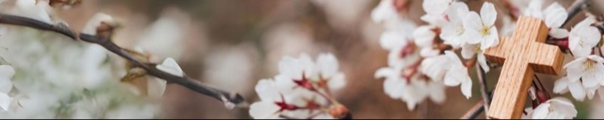 Cover photo for Kathleen Smithson's Obituary